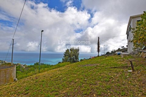 Villa i Ospedaletti, Imperia, Ospedaletti - € 295.000 | Ref: 1V41 - foto 8