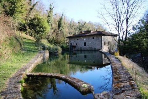Landejendom i Florence, Florence, Florence - € 995.000 | Ref: CBI105-1138-6 - foto 5