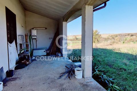Villa a Canino, Viterbo, Canino - € 298.000 | Ref: CBI105-1176-298 - foto 29