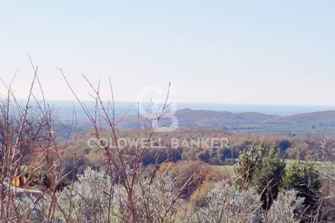Villa a Canino, Viterbo, Canino - € 298.000 | Ref: CBI105-1176-298 - foto 44