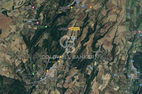 Villa a Canino, Viterbo, Canino - € 298.000 | Ref: CBI105-1176-298 - foto 46