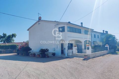 Landejendom i Capalbio, Grosseto, Capalbio - € 380.000 | Ref: CBI105-2148-355 - foto 3