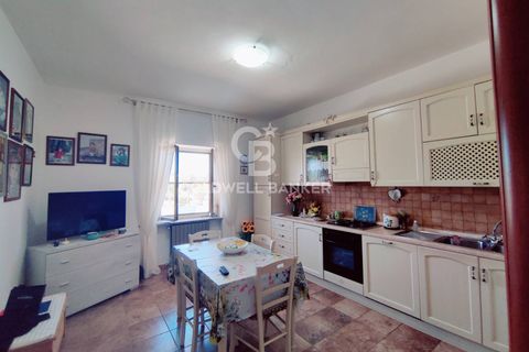 Landejendom i Capalbio, Grosseto, Capalbio - € 380.000 | Ref: CBI105-2148-355 - foto 7