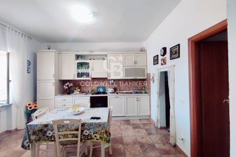Landejendom i Capalbio, Grosseto, Capalbio - € 380.000 | Ref: CBI105-2148-355 - foto 8