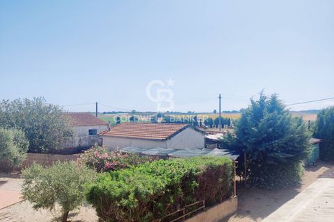 Landejendom i Capalbio, Grosseto, Capalbio - € 380.000 | Ref: CBI105-2148-355 - foto 28