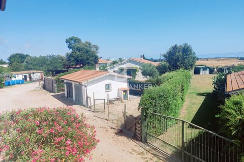 Landejendom i Capalbio, Grosseto, Capalbio - € 380.000 | Ref: CBI105-2148-355 - foto 29