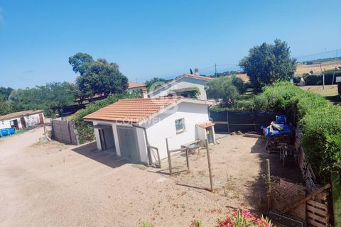 Landejendom i Capalbio, Grosseto, Capalbio - € 380.000 | Ref: CBI105-2148-355 - foto 34