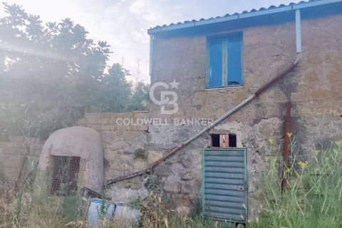 Landejendom i Valentano, Viterbo, Valentano - € 44.000 | Ref: CBI105-1176-364 - foto 3