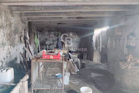 Landejendom i Valentano, Viterbo, Valentano - € 44.000 | Ref: CBI105-1176-364 - foto 5