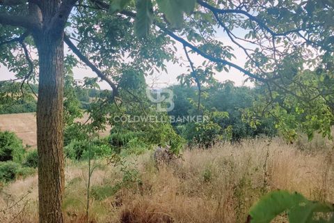 Landejendom i Valentano, Viterbo, Valentano - € 44.000 | Ref: CBI105-1176-364 - foto 7