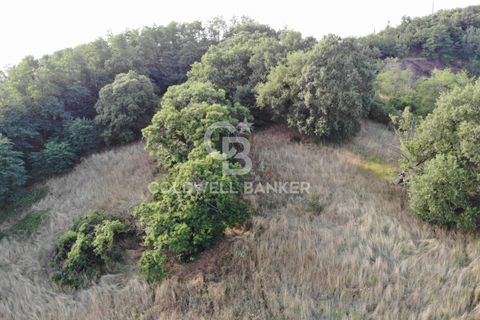 Landejendom i Valentano, Viterbo, Valentano - € 44.000 | Ref: CBI105-1176-364 - foto 9