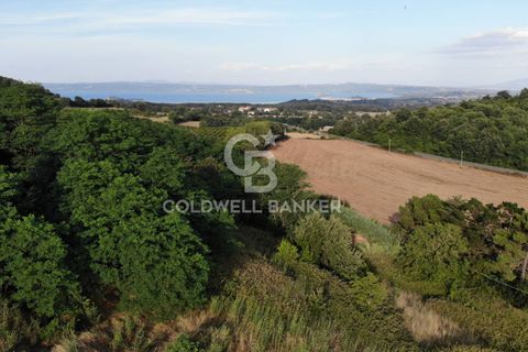 Landejendom i Valentano, Viterbo, Valentano - € 44.000 | Ref: CBI105-1176-364 - foto 10