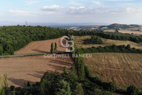 Landejendom i Valentano, Viterbo, Valentano - € 44.000 | Ref: CBI105-1176-364 - foto 11