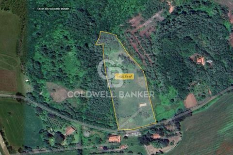Landejendom i Valentano, Viterbo, Valentano - € 44.000 | Ref: CBI105-1176-364 - foto 13