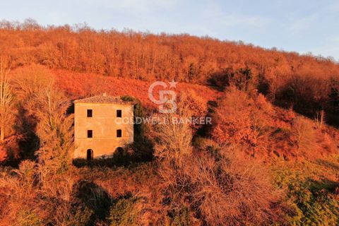 Landejendom i Latera, Viterbo, Latera - € 115.000 | Ref: CBI105-1176-387 - foto 10