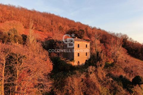 Landejendom i Latera, Viterbo, Latera - € 115.000 | Ref: CBI105-1176-387 - foto 11