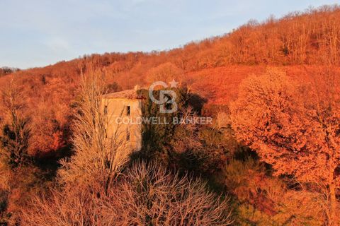 Landejendom i Latera, Viterbo, Latera - € 115.000 | Ref: CBI105-1176-387 - foto 12
