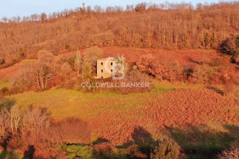 Landejendom i Latera, Viterbo, Latera - € 115.000 | Ref: CBI105-1176-387 - foto 13