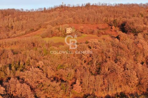 Landejendom i Latera, Viterbo, Latera - € 115.000 | Ref: CBI105-1176-387 - foto 14