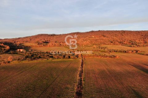 Landejendom i Latera, Viterbo, Latera - € 115.000 | Ref: CBI105-1176-387 - foto 15