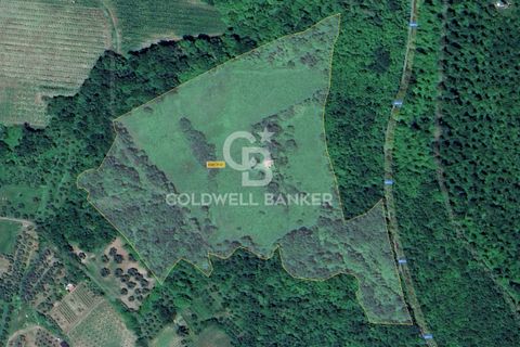 Landejendom i Latera, Viterbo, Latera - € 115.000 | Ref: CBI105-1176-387 - foto 17