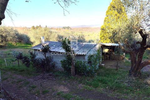 Tomt i Gradoli, Viterbo, Gradoli - € 25 000 | Ref: CBI105-1176-404 - foto 3