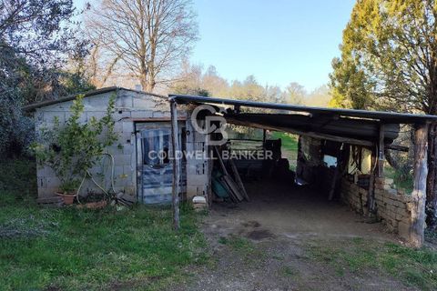 Tomt i Gradoli, Viterbo, Gradoli - € 25 000 | Ref: CBI105-1176-404 - foto 4