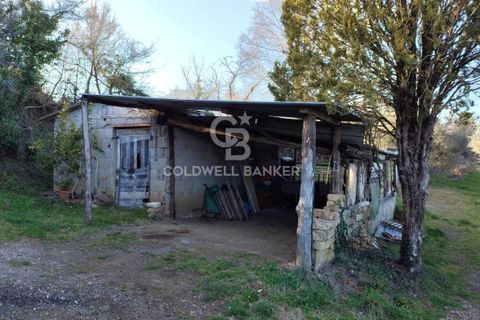 Tomt i Gradoli, Viterbo, Gradoli - € 25 000 | Ref: CBI105-1176-404 - foto 5