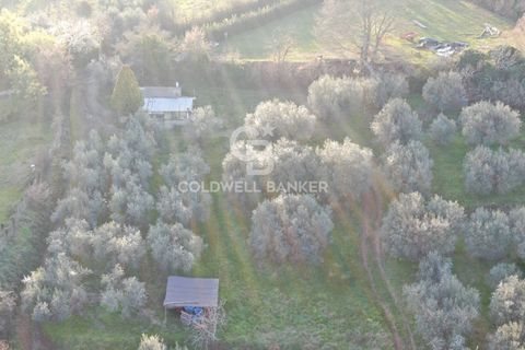 Tomt i Gradoli, Viterbo, Gradoli - € 25 000 | Ref: CBI105-1176-404 - foto 7