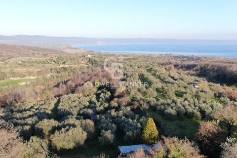 Tomt i Gradoli, Viterbo, Gradoli - € 25 000 | Ref: CBI105-1176-404 - foto 8