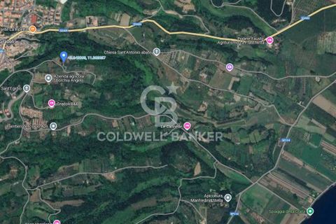 Tomt i Gradoli, Viterbo, Gradoli - € 25 000 | Ref: CBI105-1176-404 - foto 11
