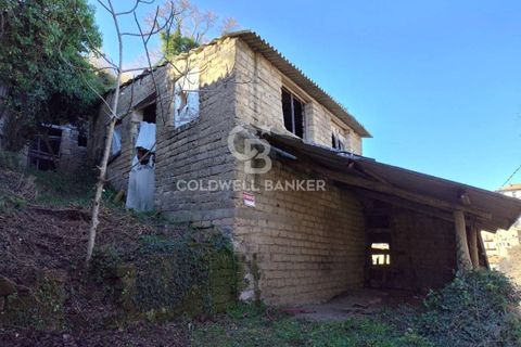 Landejendom i Gradoli, Viterbo, Gradoli - € 7.000 | Ref: CBI105-1176-405 - foto 1