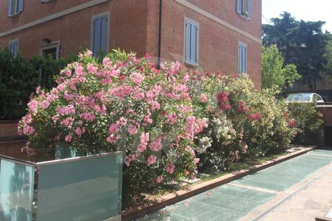 Villa a Bologna, Bologna, Bologna - € 2.280.000 | Ref: 2542DT - foto 18