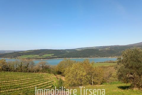 Farm hus i Baschi, Terni, Baschi - € 280.000 | Ref: CS522 - foto 4