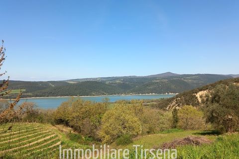Farm hus i Baschi, Terni, Baschi - € 280.000 | Ref: CS522 - foto 5