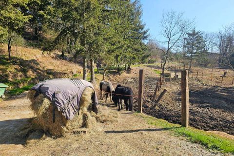 Landejendom i Altare, Savona, Altare - € 285.000 | Ref: 88 - foto 33