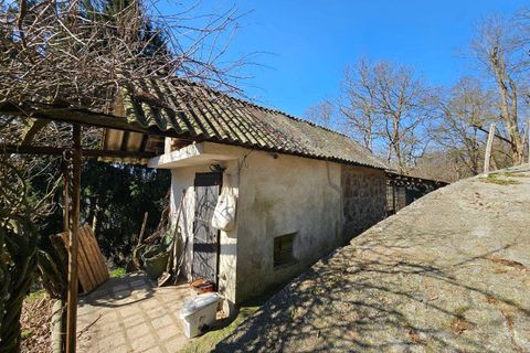 Landejendom i Altare, Savona, Altare - € 285.000 | Ref: 88 - foto 37