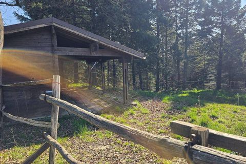 Landejendom i Altare, Savona, Altare - € 285.000 | Ref: 88 - foto 41