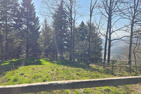 Landejendom i Altare, Savona, Altare - € 285.000 | Ref: 88 - foto 42