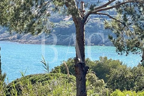 Villa i Saint-Tropez, Var, Saint-Tropez - € 11.700.000 | Ref: XP01781 - foto 3