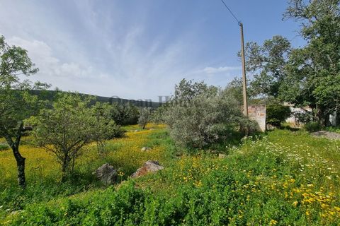 Helårsgrund i Loule, Faro, Loule - € 340.000 | Ref: TER7424 - foto 2