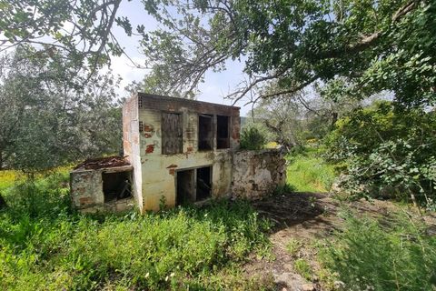 Helårsgrund i Loule, Faro, Loule - € 340.000 | Ref: TER7424 - foto 3
