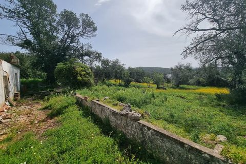 Helårsgrund i Loule, Faro, Loule - € 340.000 | Ref: TER7424 - foto 6