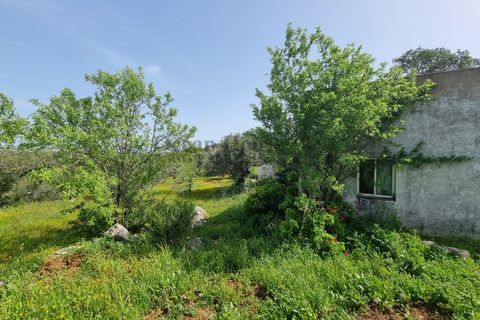 Helårsgrund i Loule, Faro, Loule - € 340.000 | Ref: TER7424 - foto 7