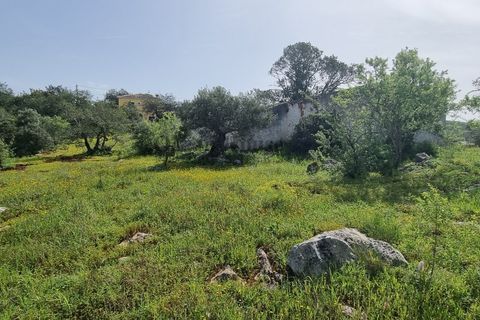 Helårsgrund i Loule, Faro, Loule - € 340.000 | Ref: TER7424 - foto 8