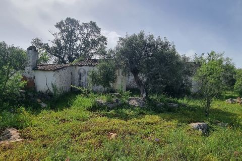 Helårsgrund i Loule, Faro, Loule - € 340.000 | Ref: TER7424 - foto 9