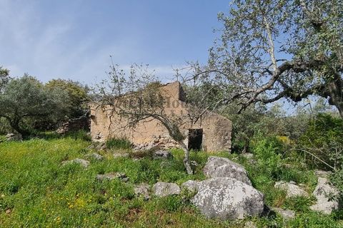 Helårsgrund i Loule, Faro, Loule - € 340.000 | Ref: TER7424 - foto 10