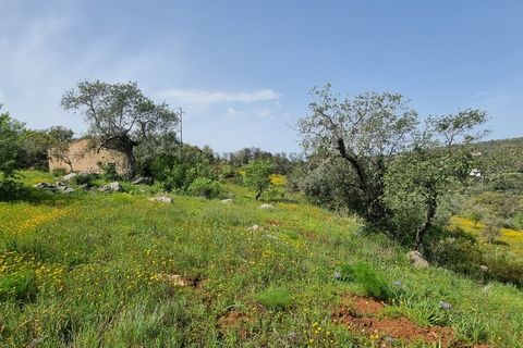 Helårsgrund i Loule, Faro, Loule - € 340.000 | Ref: TER7424 - foto 12