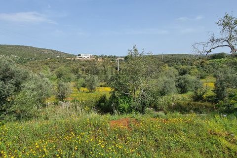 Helårsgrund i Loule, Faro, Loule - € 340.000 | Ref: TER7424 - foto 13