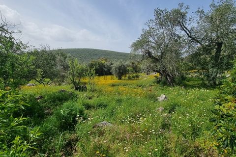 Helårsgrund i Loule, Faro, Loule - € 340.000 | Ref: TER7424 - foto 14